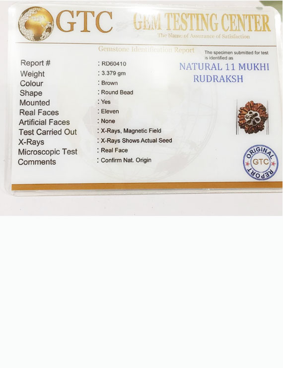 11 Mukhi Nepali Certified Rudraksha Silver Pendant